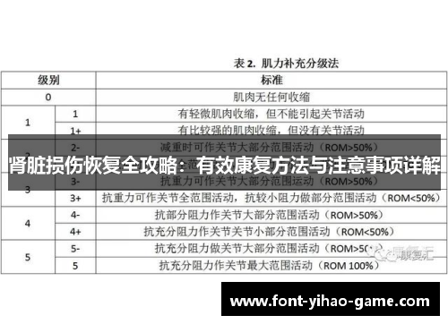 肾脏损伤恢复全攻略：有效康复方法与注意事项详解